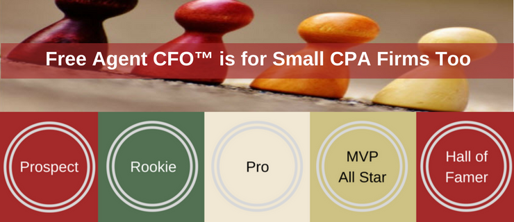 Small CPA Firms