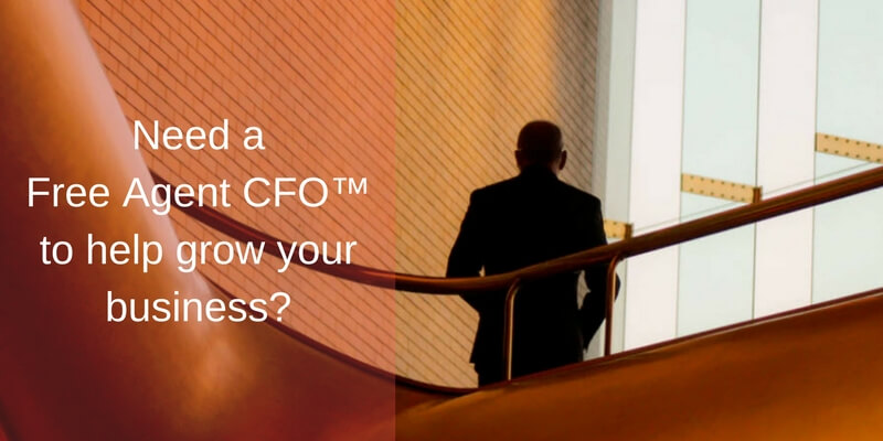 Grow Your Business with a Free Agent CFO™