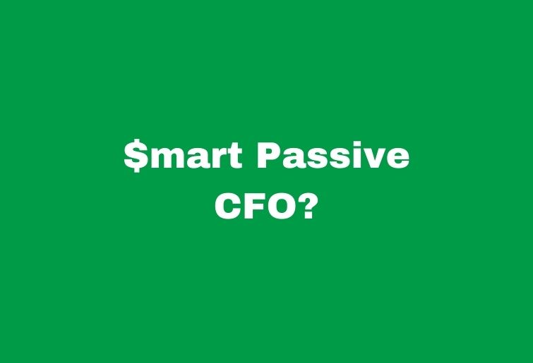 Does Pat Flynn of Smart Passive Income Need a CFO?